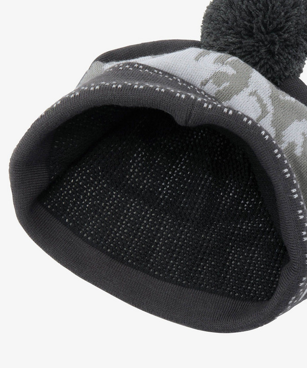 【THE NORTH FACE/ザ ノース フェイス】Snow Bum Beanie 詳細画像 3