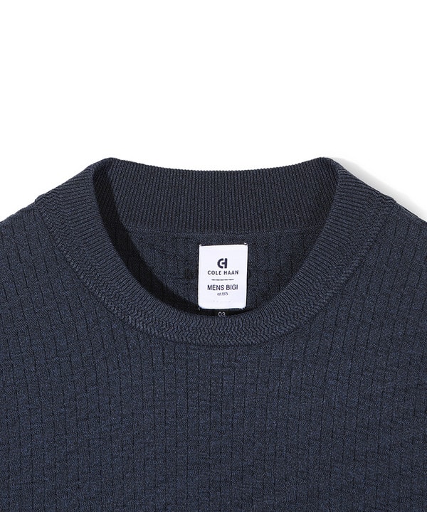 【COLE HAAN/コール ハーン】別注ブリスタージャガードハイゲージニットTEE<マシンウォッシャブル> 詳細画像 1