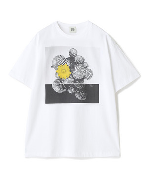 【THE FASCINATED/ザ ファシネイテッド】コラボ サボテンイエローグラフィックTシャツ