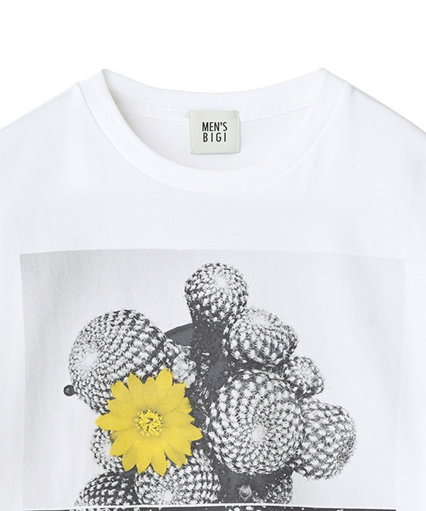 【THE FASCINATED/ザ ファシネイテッド】コラボ サボテンイエローグラフィックTシャツ 詳細画像 1