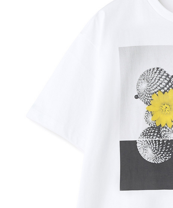 【THE FASCINATED/ザ ファシネイテッド】コラボ サボテンイエローグラフィックTシャツ 詳細画像 3