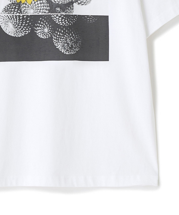 【THE FASCINATED/ザ ファシネイテッド】コラボ サボテンイエローグラフィックTシャツ 詳細画像 4