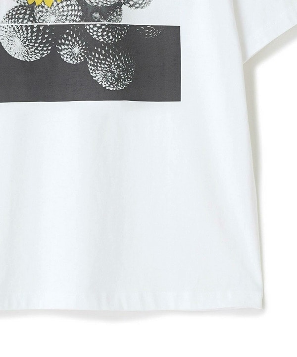 【THE FASCINATED/ザ ファシネイテッド】コラボ サボテンイエローグラフィックTシャツ 詳細画像 8