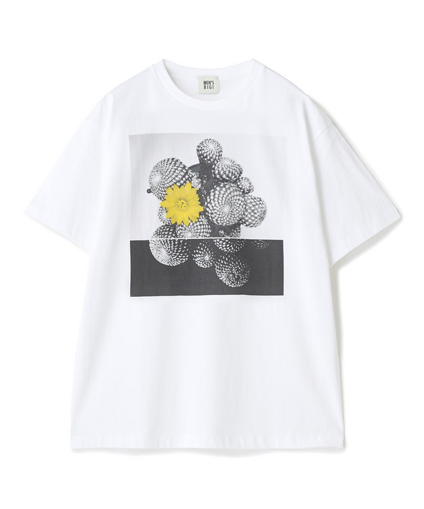 【THE FASCINATED/ザ ファシネイテッド】コラボ サボテンイエローグラフィックTシャツ 詳細画像 ホワイト系 1