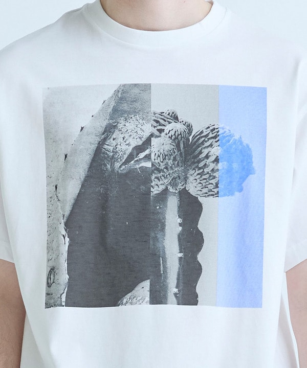 【THE FASCINATED/ザ ファシネイテッド】コラボ サボテンブルーグラフィックTシャツ 詳細画像 4