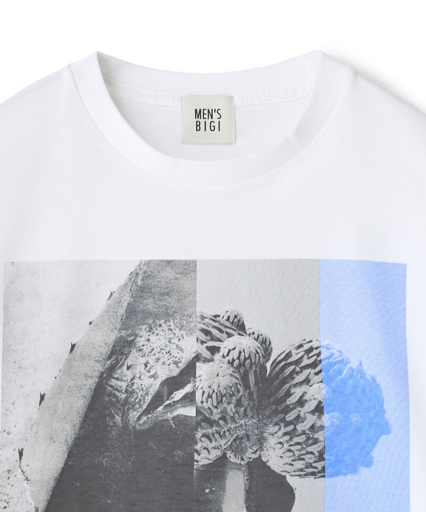 【THE FASCINATED/ザ ファシネイテッド】コラボ サボテンブルーグラフィックTシャツ 詳細画像 6