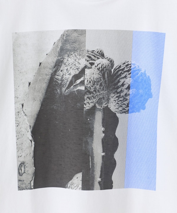 【THE FASCINATED/ザ ファシネイテッド】コラボ サボテンブルーグラフィックTシャツ 詳細画像 7