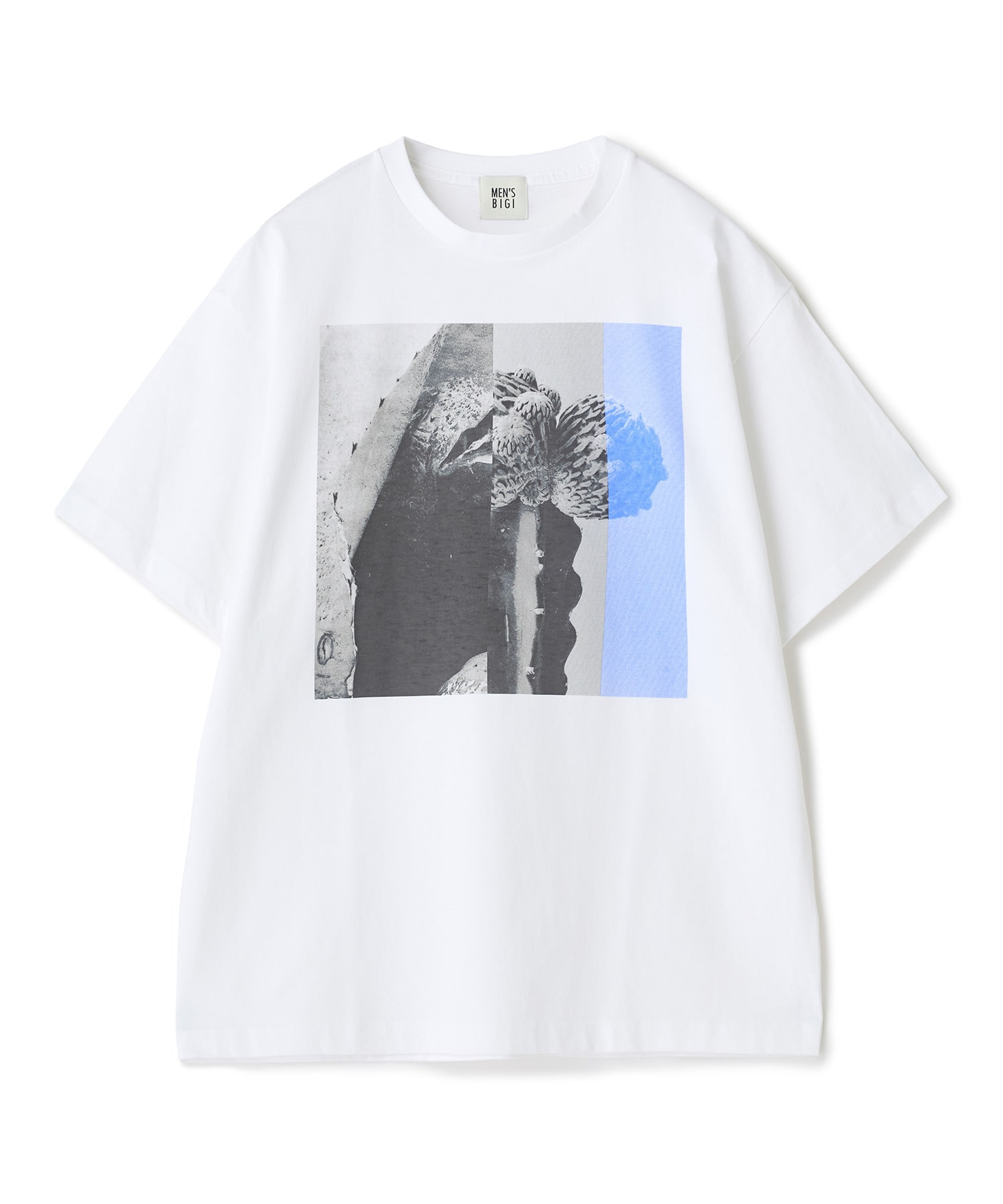 THE FASCINATED/ザ ファシネイテッド】コラボ サボテンブルー