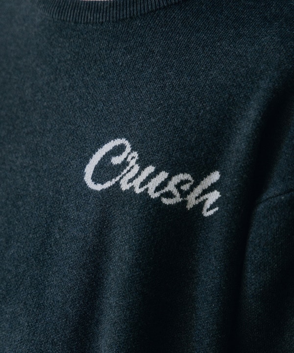 Wジャガードオーバーサイズロゴプルオーバーニット 詳細画像 20