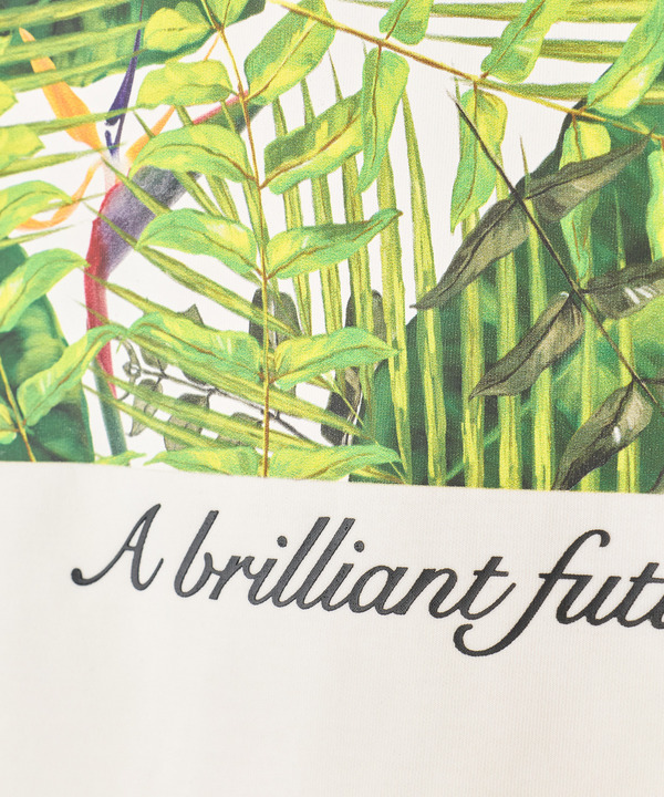 【HIBIYA-KADAN】コラボグラフィックTシャツ 詳細画像 15