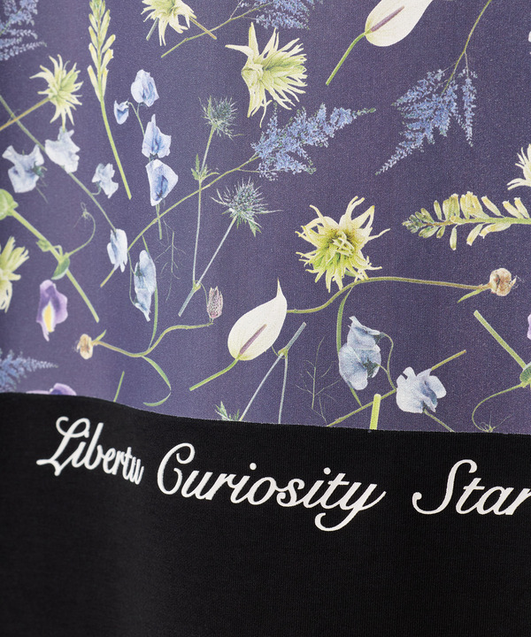 【HIBIYA-KADAN】コラボグラフィックTシャツ 詳細画像 19