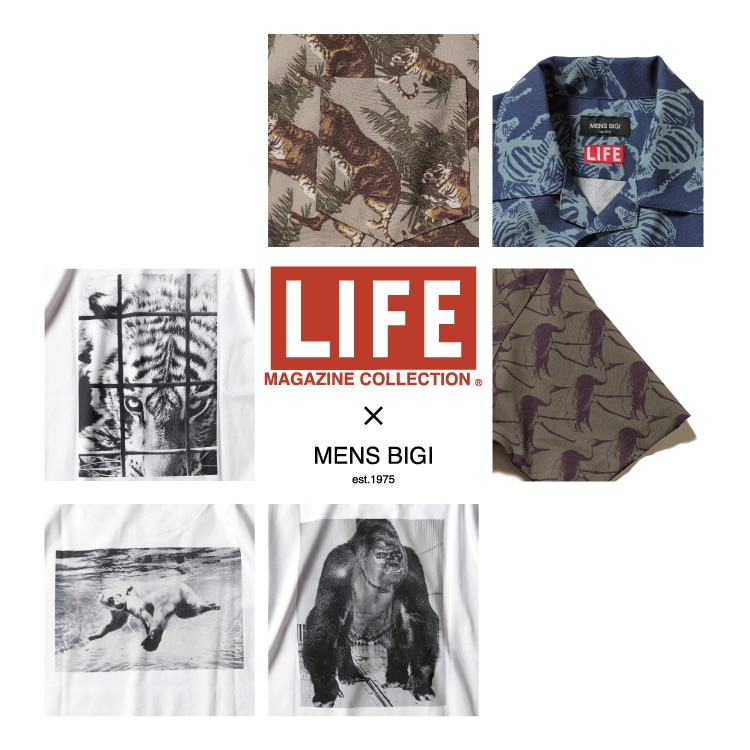 LIFE×MEN'S BIGIコラボレーション特集