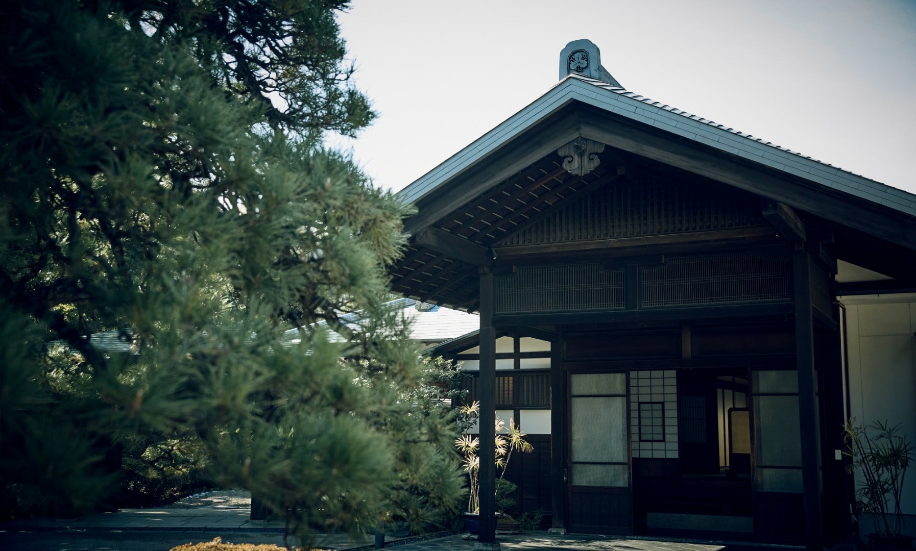 ファーストビュー